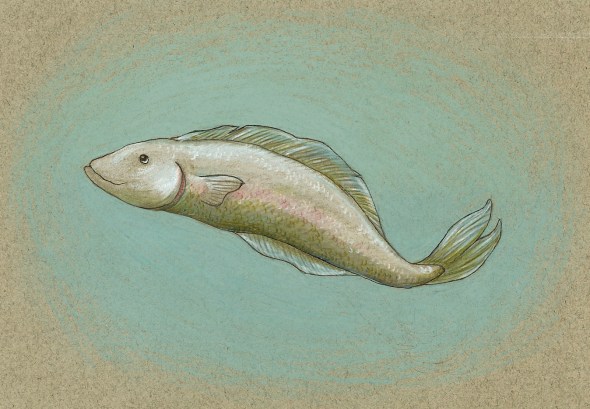 Christmas Fish 4 copy