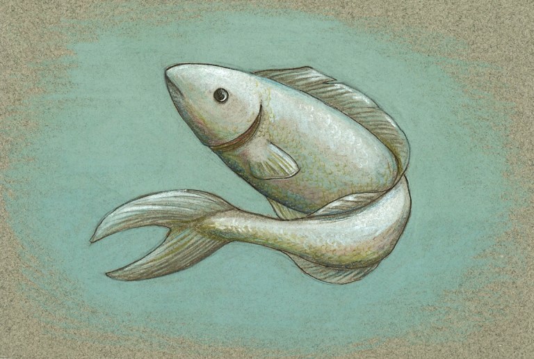 Original Fish 1 copy